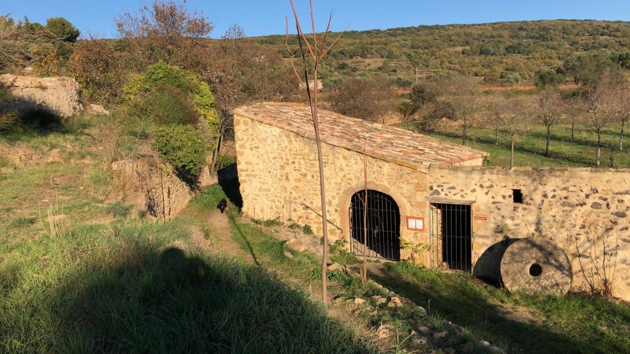 Val des Bruyères: Pézenas Gîte with Terrace and Private Parking Neffies Exterior photo